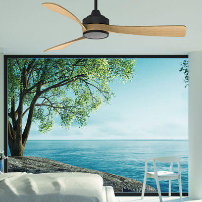 Ventilateur de plafond